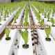 Agricultural Greenhouse Flat Hydroponics