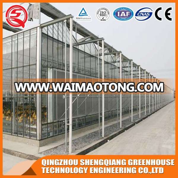 Commercial PC Sheet Greenhouse with Steel Frame