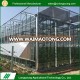 2017 Popular stable structure agriculture glass single venlo greenhouse