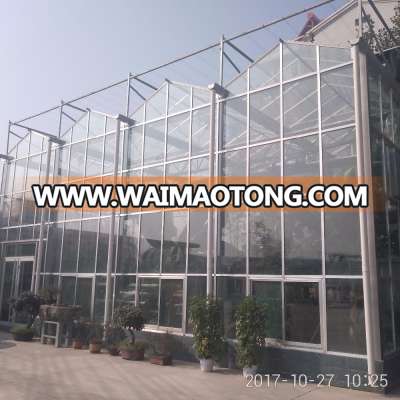 2017 newest galvanized steel frame agriculturl greenhouse for tomato plant