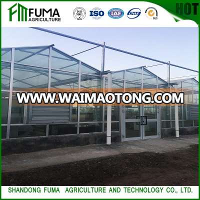 FM Cheap Commercial Glass Greenhouse