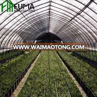 FM Hot Galvanized Frame Single-span Small Film Greenhouse