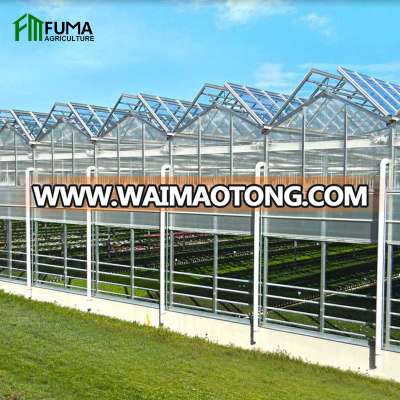 Agriculture low cost smart glass greenhouse with hydroponic growing system