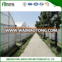 FM Hot Galvanized Pipe PO Film Tunnel Greenhouse