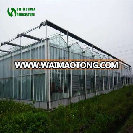 Commercial Agricultural Glass Greenhouse For Planting Tomato