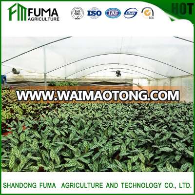 FM Single Span PO Film Tunnel Greenhouse