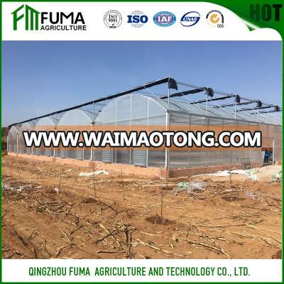 cheap agricultura 10mm polycarbonate greenhouse