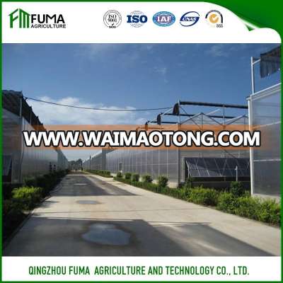 FM Economical Easy Install Galvanized Fram PC sheet greenhouse